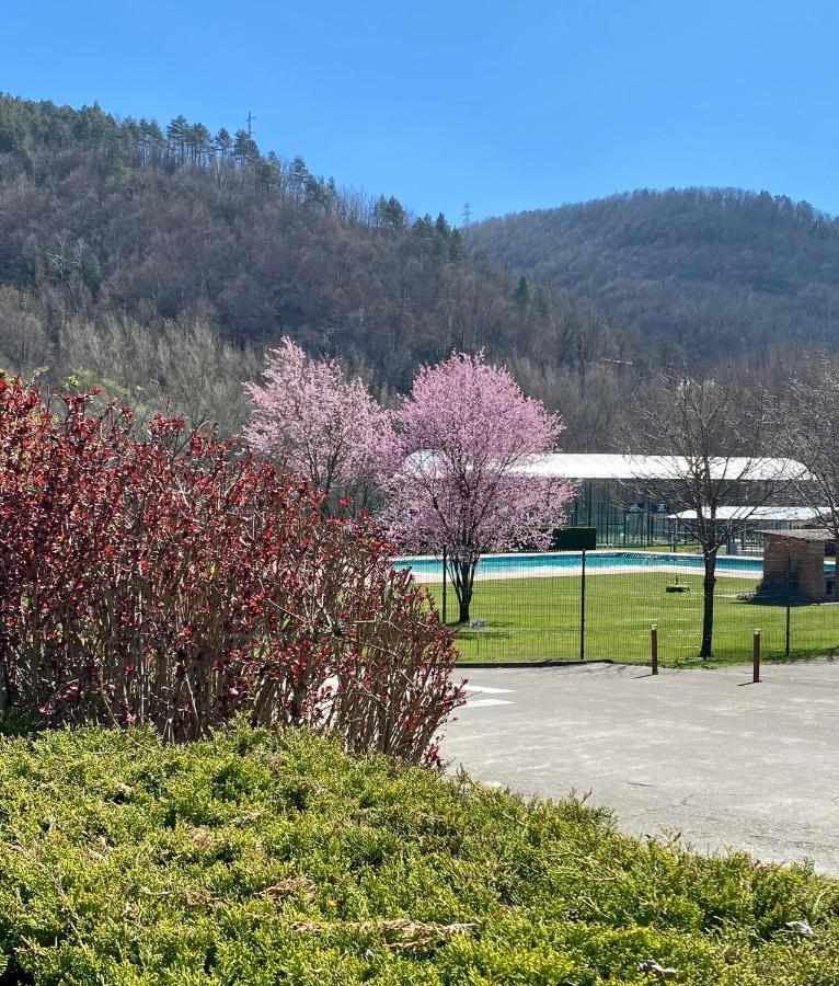 Hotel Solana Del Ter Ripoll Buitenkant foto